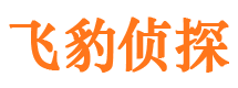 丰县市侦探调查公司